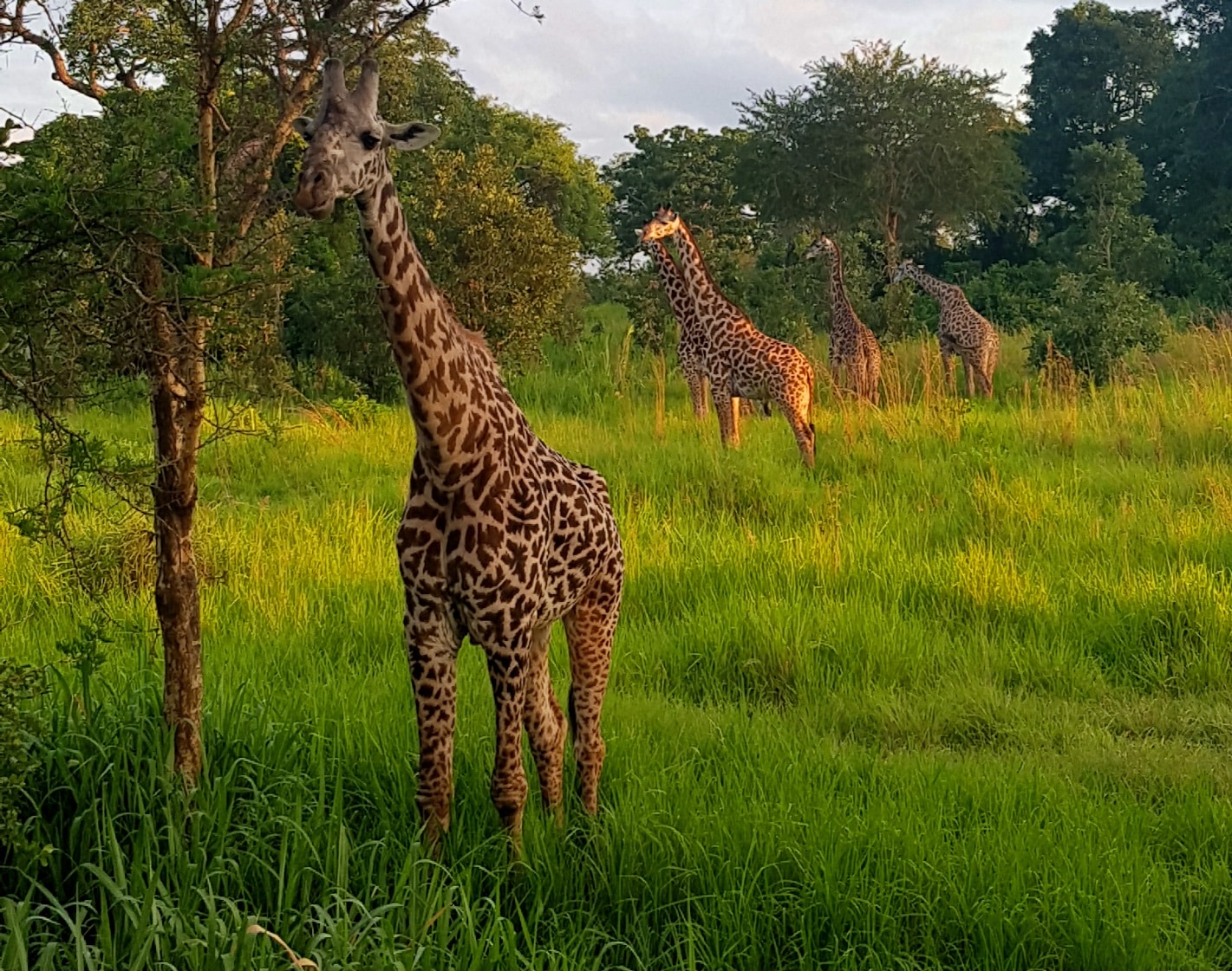 Putovanje Zanzibar 2024