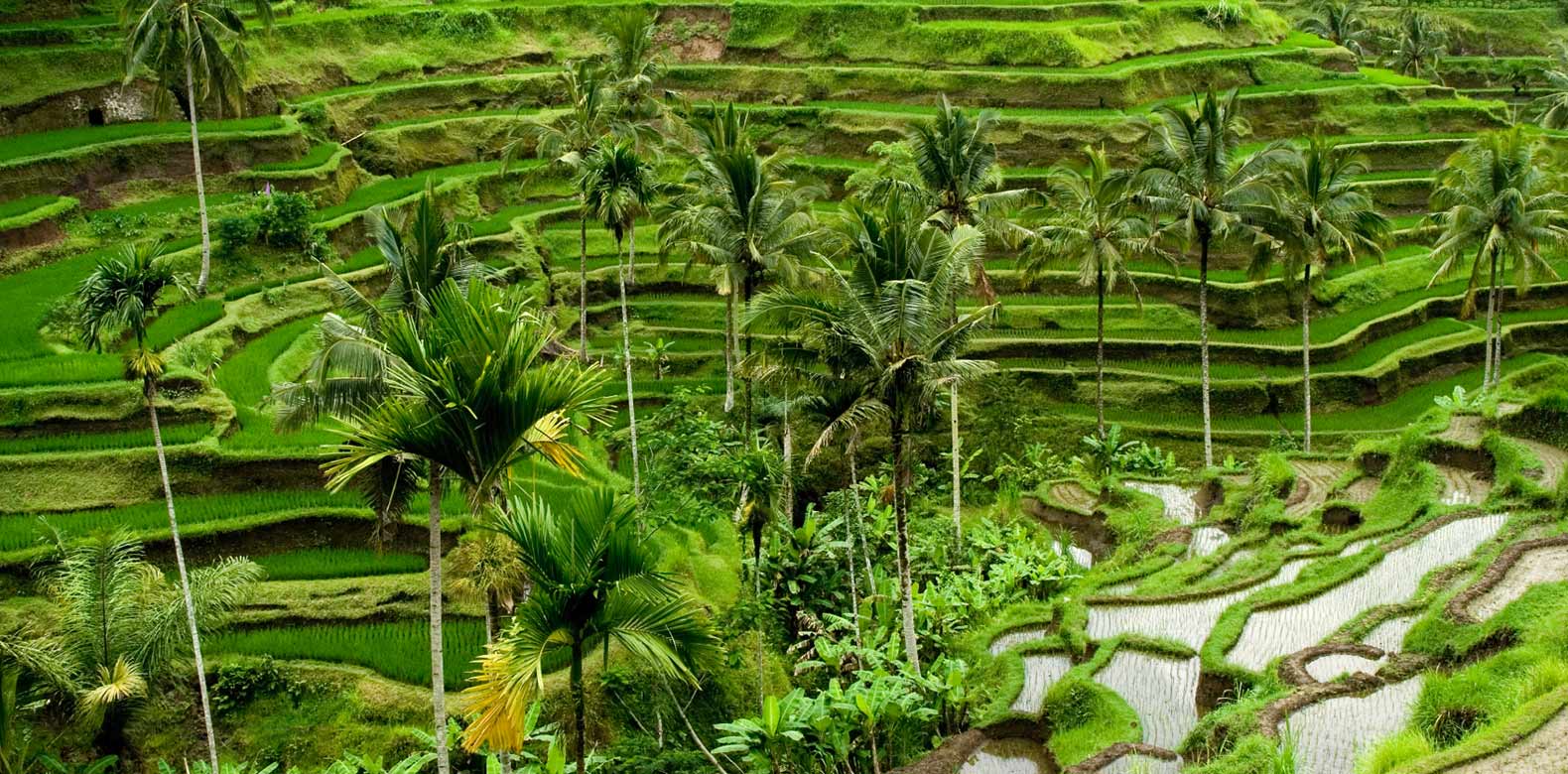 Putovanje Bali