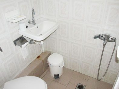  sarti vila george kupatilo1