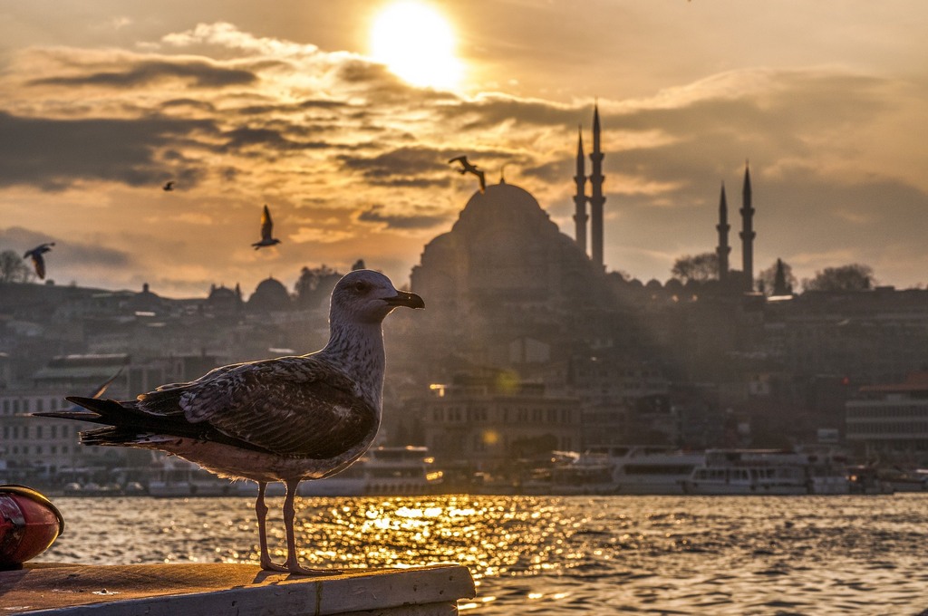 Istanbul More