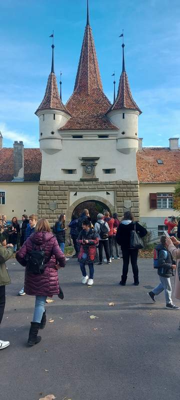 transilvanija brasov