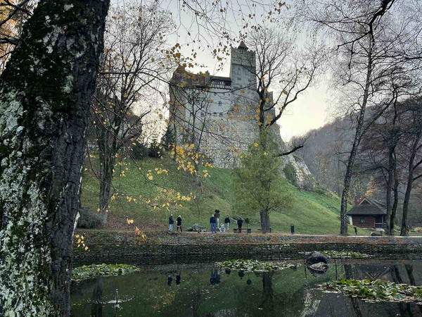 Dvorac Bran Busom